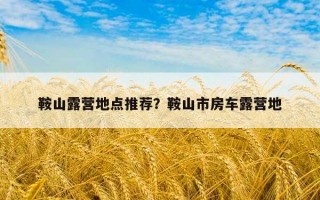 鞍山露營地點推薦？鞍山市房車露營地