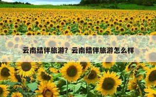 云南結伴旅游？云南結伴旅游怎么樣