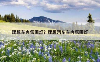 理想車內氛圍燈？理想汽車車內氛圍燈