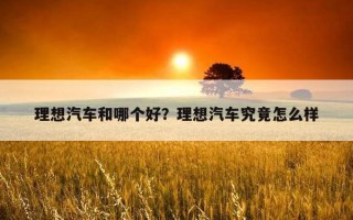 理想汽車和哪個好？理想汽車究竟怎么樣