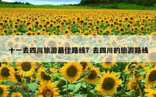 十一去四川旅游最佳路線？去四川的旅游路線