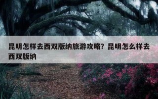 昆明怎樣去西雙版納旅游攻略？昆明怎么樣去西雙版納