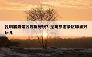 昆明旅游景區哪里好玩？昆明旅游景區哪里好玩兒
