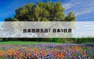日本旅游五日？日本5日游