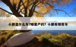 小鵬是什么車?哪里產的？小鵬有哪些車