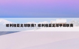 玻利維亞足球聯賽？玻利維亞足球甲級聯賽