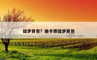 徒步背包？迪卡儂徒步背包
