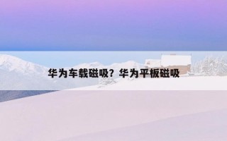 華為車載磁吸？華為平板磁吸