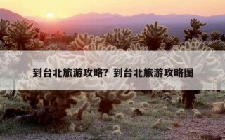 到臺北旅游攻略？到臺北旅游攻略圖
