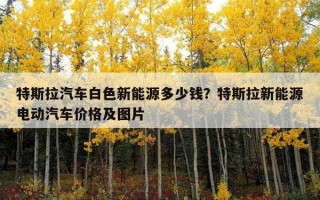 特斯拉汽車白色新能源多少錢？特斯拉新能源電動汽車價格及圖片