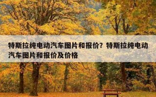 特斯拉純電動汽車圖片和報價？特斯拉純電動汽車圖片和報價及價格