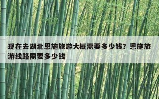 現在去湖北恩施旅游大概需要多少錢？恩施旅游線路需要多少錢