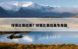 球賽比賽結果？球賽比賽結果專用圖