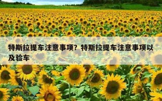 特斯拉提車注意事項？特斯拉提車注意事項以及驗車