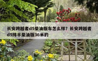 長安跨越者d5柴油版車怎么樣？長安跨越者d5排半柴油版36米的