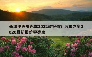 長城甲殼蟲汽車2022款報價？汽車之家2020最新報價甲殼蟲
