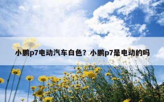小鵬p7電動汽車白色？小鵬p7是電動的嗎