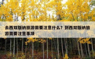 去西雙版納旅游需要注意什么？到西雙版納旅游需要注意事項