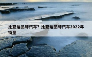 比亞迪品牌汽車？比亞迪品牌汽車2022年銷量