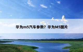 華為m5汽車參數？華為M5圖片