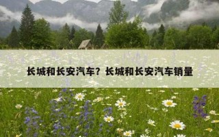 長城和長安汽車？長城和長安汽車銷量