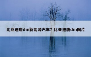 比亞迪唐dm新能源汽車？比亞迪唐dm圖片