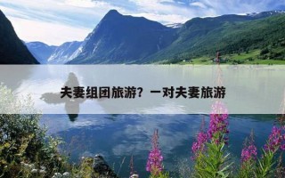 夫妻組團旅游？一對夫妻旅游