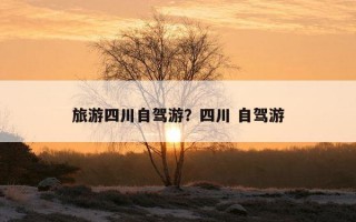 旅游四川自駕游？四川 自駕游