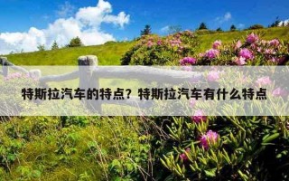 特斯拉汽車的特點？特斯拉汽車有什么特點