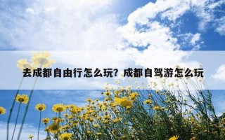 去成都自由行怎么玩？成都自駕游怎么玩