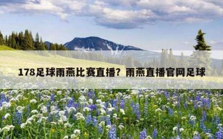 178足球雨燕比賽直播？雨燕直播官網足球