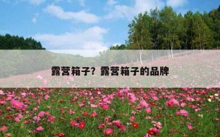 露營箱子？露營箱子的品牌