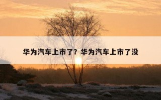 華為汽車上市了？華為汽車上市了沒