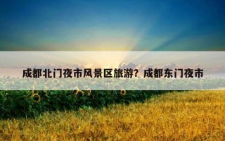 成都北門夜市風景區旅游？成都東門夜市
