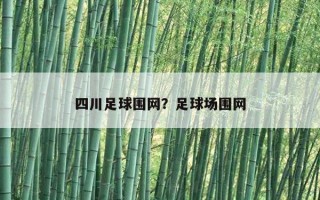 四川足球圍網？足球場圍網