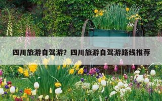 四川旅游自駕游？四川旅游自駕游路線推薦