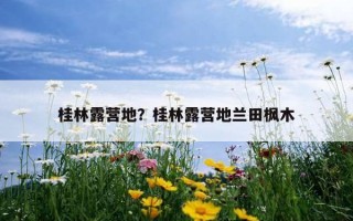 桂林露營地？桂林露營地蘭田楓木