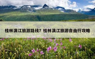 桂林漓江旅游路線？桂林漓江旅游自由行攻略