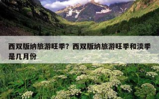 西雙版納旅游旺季？西雙版納旅游旺季和淡季是幾月份