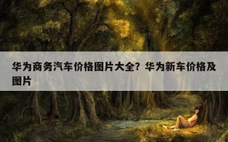 華為商務汽車價格圖片大全？華為新車價格及圖片