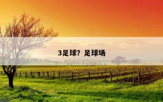3足球？足球場