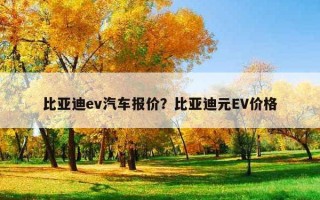 比亞迪ev汽車報價？比亞迪元EV價格
