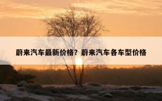 蔚來汽車最新價格？蔚來汽車各車型價格