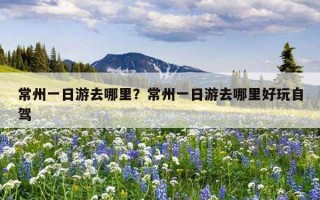 常州一日游去哪里？常州一日游去哪里好玩自駕