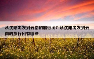 從沈陽出發到云南的旅行團？從沈陽出發到云南的旅行團有哪些