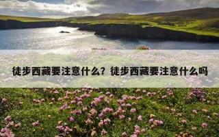 徒步西藏要注意什么?徒步西藏要注意什么嗎 徒步西藏要注意什么?徒步西藏要注意什么嗎