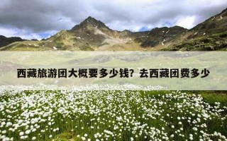 西藏旅游團大概要多少錢？去西藏團費多少