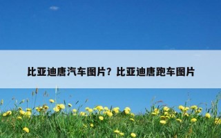 比亞迪唐汽車圖片？比亞迪唐跑車圖片