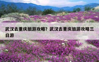 武漢去重慶旅游攻略？武漢去重慶旅游攻略三日游