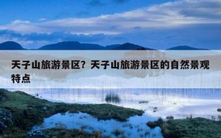 天子山旅游景區？天子山旅游景區的自然景觀特點